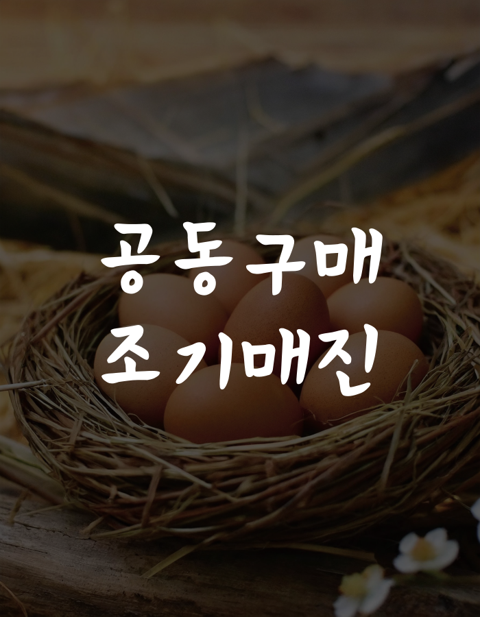 기획전 이미지