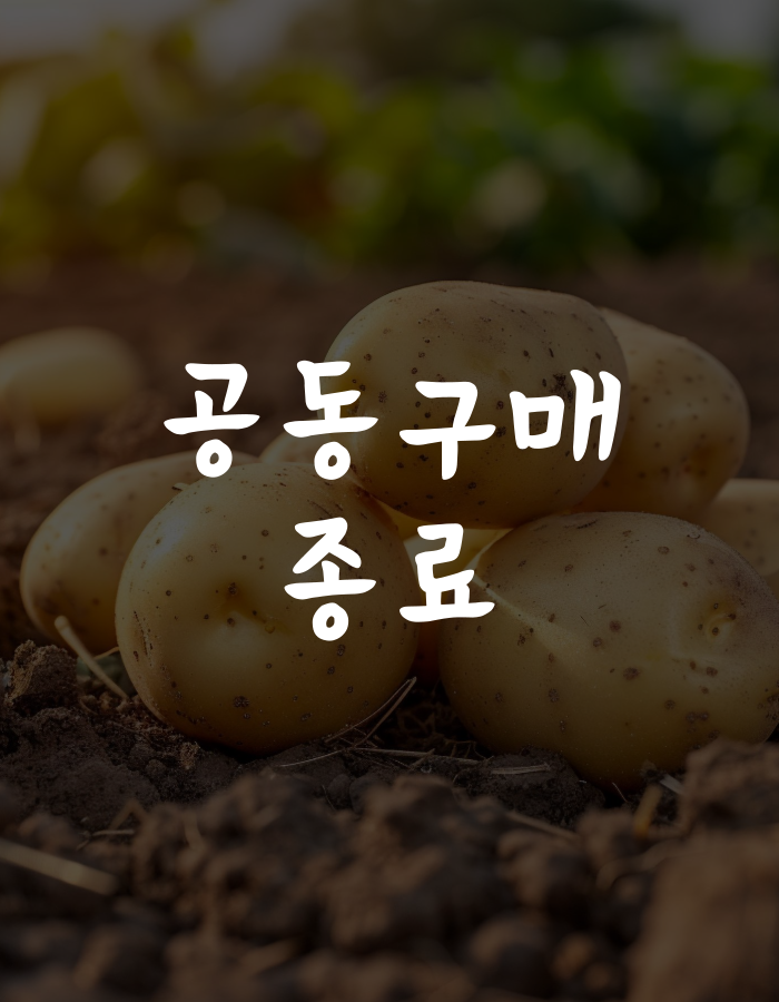 기획전 이미지